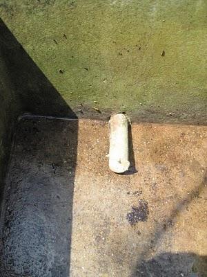 Abreuvoir et mésanges