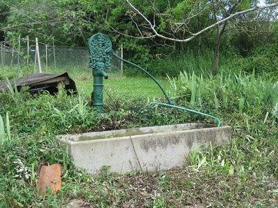 Abreuvoir et mésanges