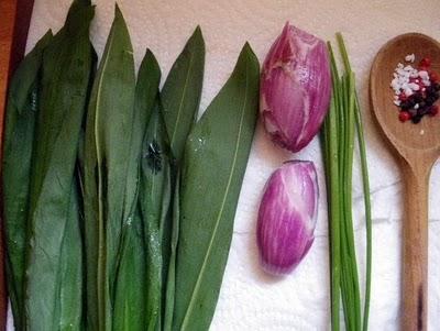 Fromage Blanc à L'ail Des Ours