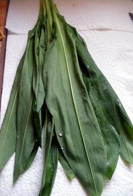 Fromage Blanc à L'ail Des Ours