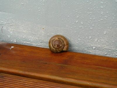 Les Citoyens de la RAAAAEncore un nouveauPamphile est là aussi !