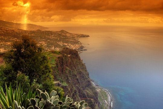 madère, l'île aux fleurs