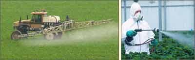 Serons-nous un jour délivrés des pesticides ?
