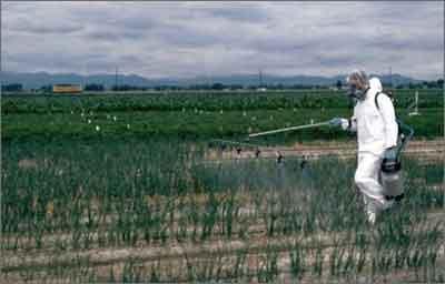 Serons-nous un jour délivrés des pesticides ?