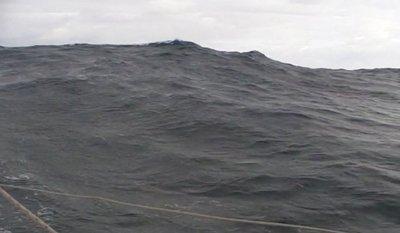 Un dimanche dans un shaker