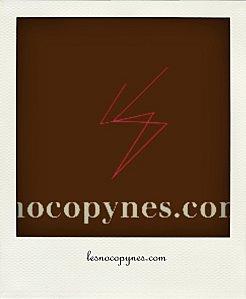 logo_nocopynes-pola.jpg