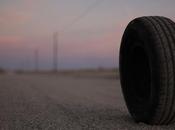 Cannes 2010 chapitre