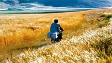 Le Vent Nous Emportera. Encore.