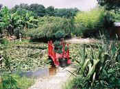 Parc Floral tropical Cour d'Aron vendée