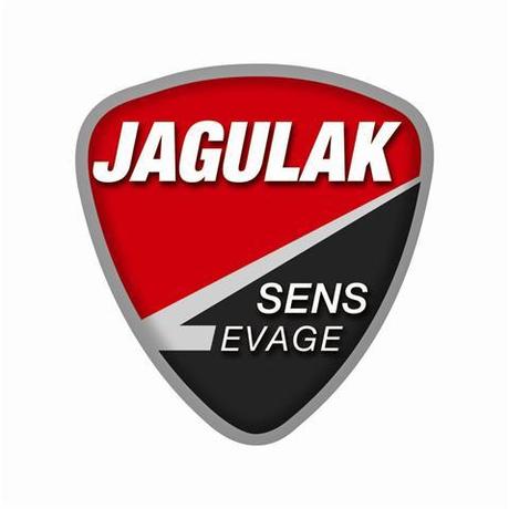 Jagulak Sens Levage