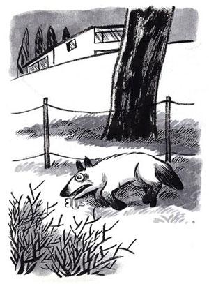 Juste avant le crépuscule.