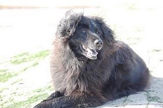 Mardi c'est permis de faire un défi du monde aussi !