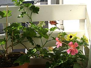 Un balcon à Saint-Blaise.JPG