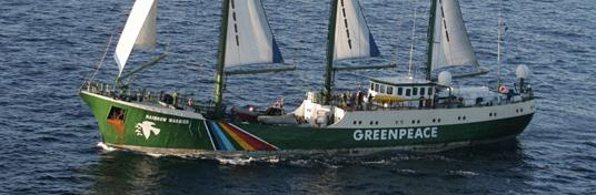 Greenpeace prend position en mer pour défendre le thon rouge