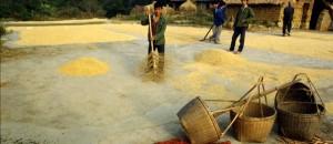 Chine, célébration de la terre, à la fondation EDF