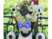Vidéo d’un mariage célébré robot