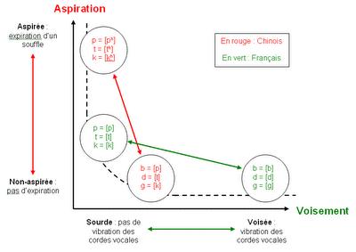 Les consonnes occlusives en Chinois: aspirée or not aspirée