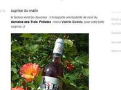 vigne, dans cave?, blog? passée baladeuse Lisson?