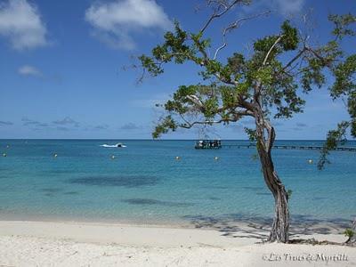 Vacances... du bleu, des collections...