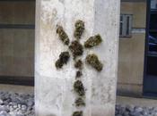 Guerrilla gardening Paris