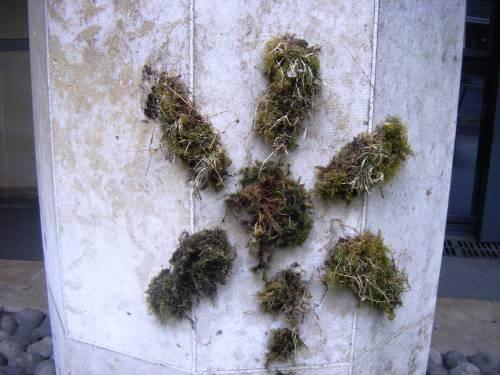 Guerrilla Gardners avenue simon bolivar 2010-05-02 2.jpg