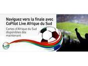 Copilot vous emmène jusqu'en Afrique Sud...