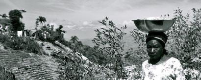 Tour Haïti, Le Concert