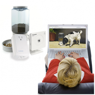 telecommande chien Gagdets de geek !!