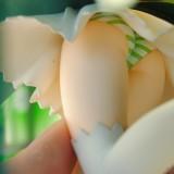 Blowfish - Melon (22) Melon – Megahouse (Blowfish)