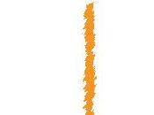 week-end, positive...#3