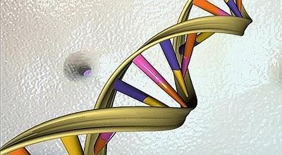 Création d'une cellule vivante avec un génome synthétique.