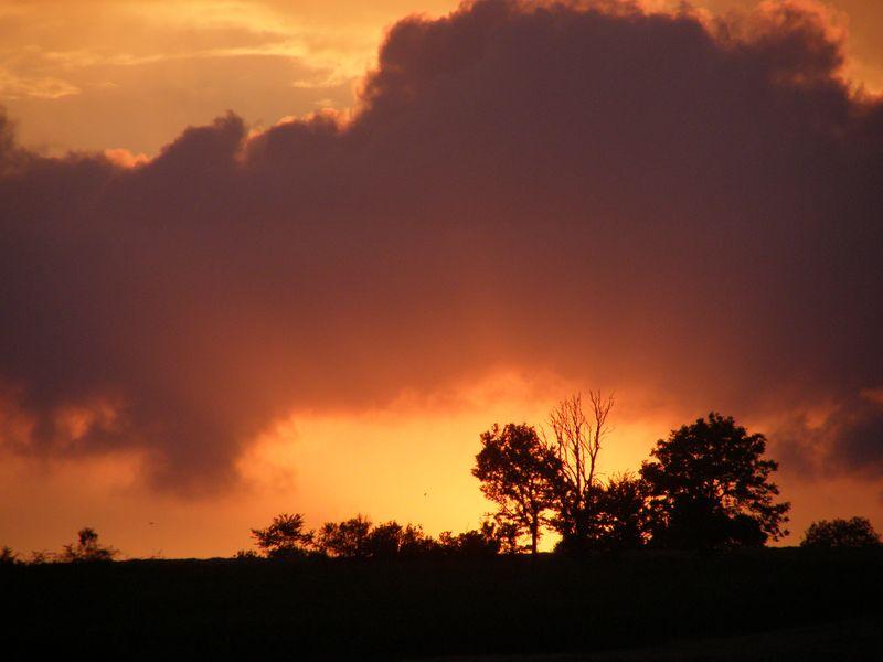 Le soleil fait le tour des maisons et des  hommes (Georges Jean)