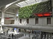 SNCF expérimente dispositif végétal dépolluant