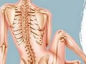 L'ostéoporose: souvent ignoré
