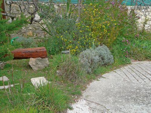 Les bancs réalisés à partir de pins maritimes...