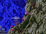 20500Ecco the Dolphin4