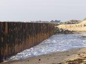 bavardage l’eau console (Georges Jean)