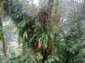 Journée internationale diversité biologique