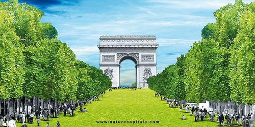 Nature-Capitale-Paris-Champs-Elysees-urbanews