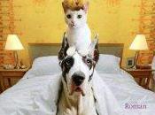 Maudit karma David Safier