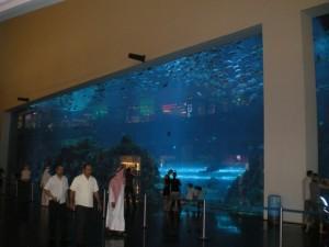 Un dimanche a l’aquarium du Dubai Mall