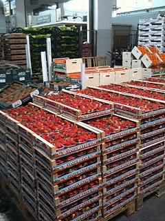 Je ne suis pas une gameuse mais…