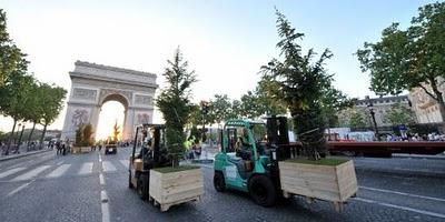 Paris se met au vert en photos