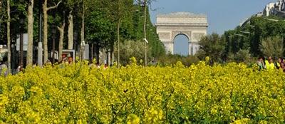 Paris se met au vert en photos