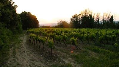Balade en Uzège au crépuscule