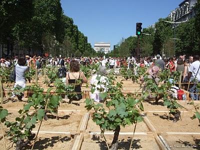 Un jardin extraordinaire à Paris (Champs-Élysées)