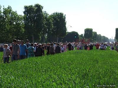Un jardin extraordinaire à Paris (Champs-Élysées) Un jardin extraordinaire à Paris (Champs-Élysées)