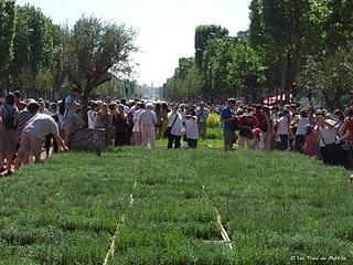 Un jardin extraordinaire à Paris (Champs-Élysées) Un jardin extraordinaire à Paris (Champs-Élysées)