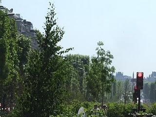 Un jardin extraordinaire à Paris (Champs-Élysées)