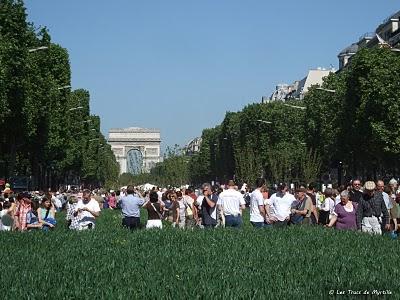 Un jardin extraordinaire à Paris (Champs-Élysées) Un jardin extraordinaire à Paris (Champs-Élysées)